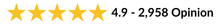 4.9 rating